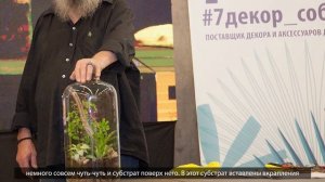 Флорариум своими руками  Как сделать флорариум