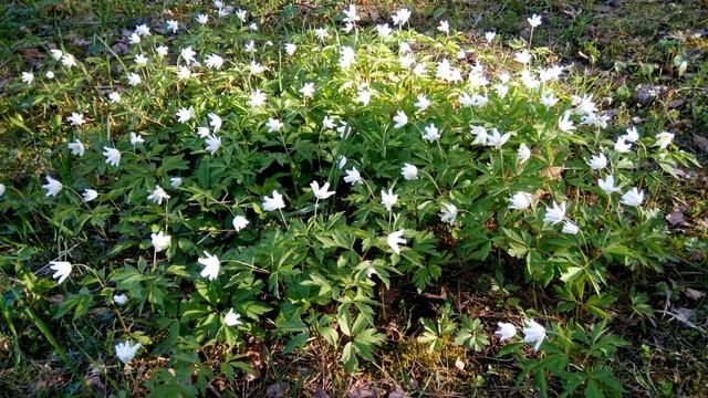 Глазами художника смотреть онлайн