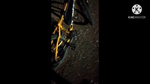 Небольшой отзыв и обзор велосипеда Forward Next 1.0