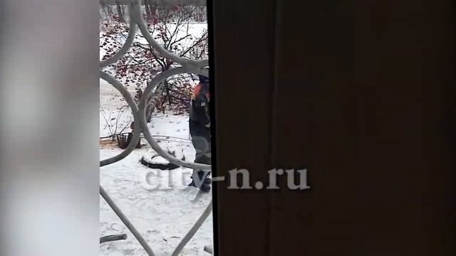 В Новокузнецке пьяный неадекват с бензопилой спилил дерево смотреть онлайн