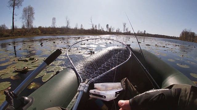 Трудовая рыбалка Осени! Твичиннг смотреть онлайн