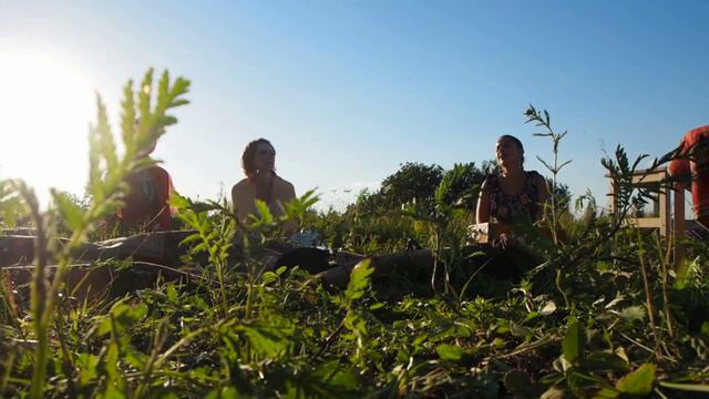 P7040225 смотреть онлайн