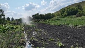 Лук батун, поливаю мотопомпой из речки