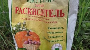 ? Мой первый клематис- княжик. Учусь выращивать.