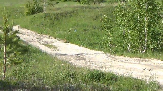 сенгилей,вид на волгу с бутырской горы