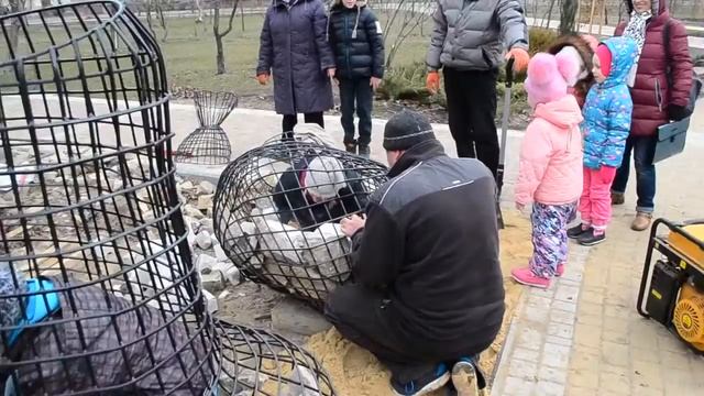 Габионы смотреть онлайн