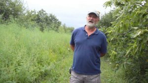 Alley Cropping Asparagus with Mark Shepard