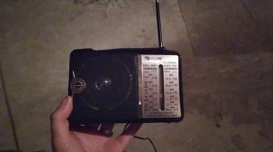 УВБ-76. Прием на Golon RX-606AC.  Житомирская область Украина.