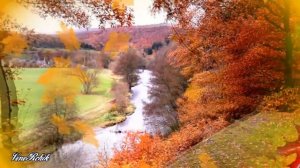 Анвар Нургалиев  Хатын кыз !