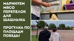 МАРИНУЕМ МЯСО ПЕРЕПЕЛОК / ЗАВТРА ШАШЛЫК / Погуляли по Площади Победы / Загородная жизнь на юге