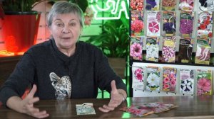 ЧТО ТАКОЕ ФРИЛИТУНИЯ ✔️ Необычные Сорта Петунии, сурфинии