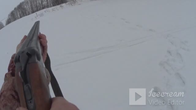 Заряжаем 12 Калибр,латунные гильзы самодельной дробью №3 на ГУСЯ.Отстрел и РЕЗУЛЬТАТ!!! смотреть онлайн