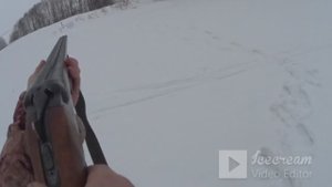 Заряжаем 12 Калибр,латунные гильзы самодельной дробью №3 на ГУСЯ.Отстрел и РЕЗУЛЬТАТ!!!