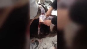 Тест ножа из elmax Мастерской Сковородихина на разделке лося