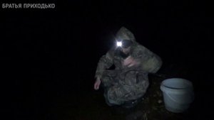 НАЛИМ АТАКУЕТ / РЫБАЛКА НОЧЬЮ НА ЗАКИДУШКИ