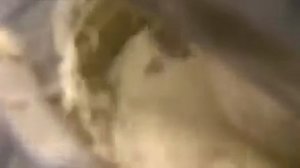 Насадка для кухонных машин Kenwood АТ956А, АТ957А