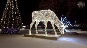 Огни Новосибирска