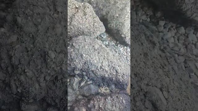 сказки импровизации (про фей) продолжение смотреть онлайн