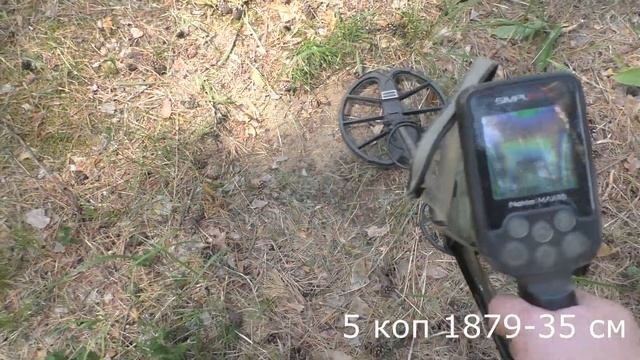 Тест на полигоне - Nokta Makro Simplex Plus