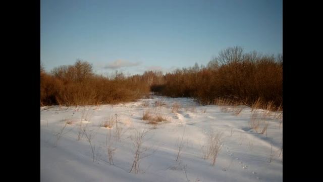 Загонная охота, 13 февраля 2005г. смотреть онлайн