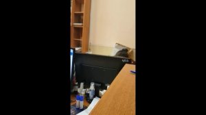 Сдача пасПорта РФ на ЗАМЕНУ.Форма 1П.