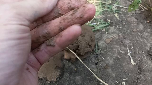 2 тонны через пот и кровь