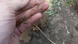 2 тонны через пот и кровь