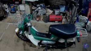 Выездной осмотр, перед покупкой РЕДКОГО МОПЕДА Honda Chaly