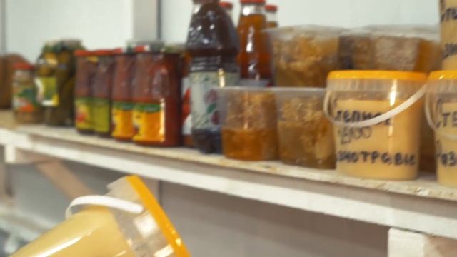 ZERO WASTE в Казахстане - это НЕ МИФ ! /// республиканский молодежный марафон "Мой Эко-след" смотреть онлайн