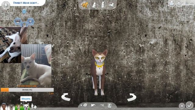 THE SIMS 4 | ВАШИ ПИТОМЦЫ | КОШКИ И СОБАКИ смотреть онлайн