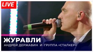 Андрей Державин - Журавли (live 'Большая рыба'')