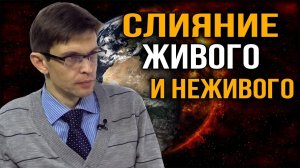 На повестке дня стирание человеческой идентичности. Дмитрий Перетолчин