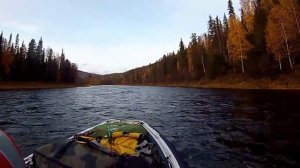 река Тис в нижнем течении