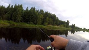 Карась на спиннинг. Мой первый опыт ловли карася на мормышку