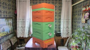 в каком улье лучше выводить маток и матки получаются лучшего качества