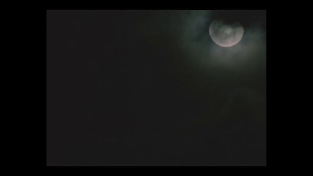 ОШИБКА ИГРОКА и другие баги мышления [КОГНИТИВНЫЕ ИСКАЖЕНИЯ]