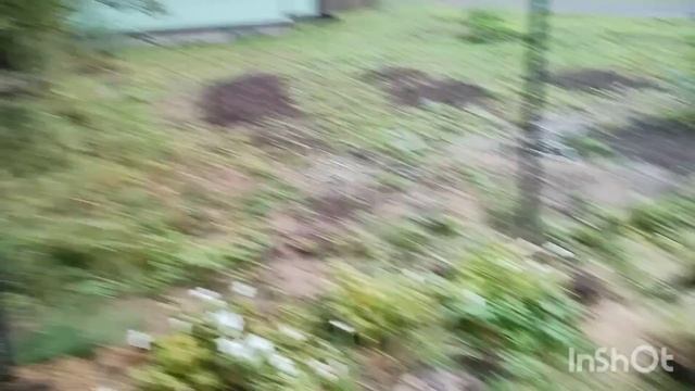 Записки о колодцах. смотреть онлайн