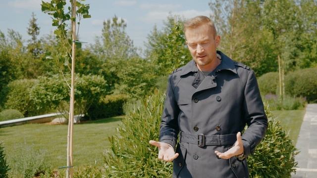 Дренаж в ландшафтном дизайне. Фатальные ошибки ландшафтного дизайна Кому нужен дренаж?