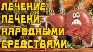 Лечение печени 10 Народных рецептов