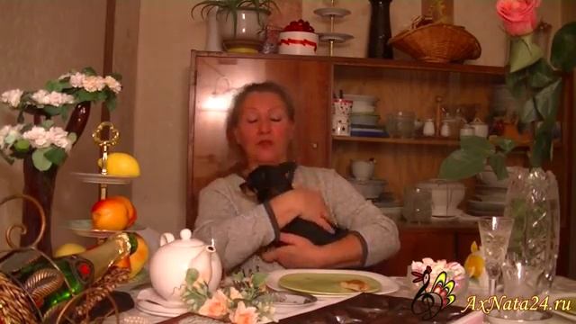 Красноярск.Воспитание собак ч. 7-я. Джерри и команда- ' Дома!'.mp4