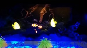 Электроочаг Dimplex Aqua-V