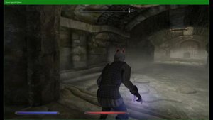 【SKYRIM SE】UNDER SAARTHAL と CAPTURED WENCHES きりたんの赤うさぎ 今日のスカイリム
