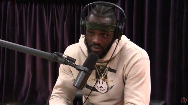 Joe Rogan | Deontay Wilder Says He KO'd Tyson Fury смотреть онлайн