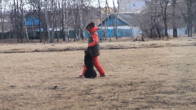 Европа Плюс 8 мес. послушание с Волошиной Татьяной