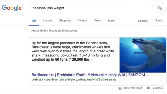 Basilosaurus - Ancient Animal смотреть онлайн