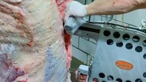 Разделка говядины. Обвалка КРС. Свежее мясо