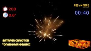 салют огненный феникс FP-B120