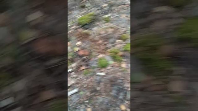 По грибы ч.2 смотреть онлайн