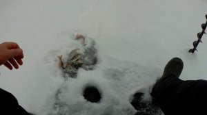 БЛЕСНА НА ОКУНЯ СВОИМИ РУКАМИ, КОТОРАЯ КОСИТ МАТРОСОВ!!!