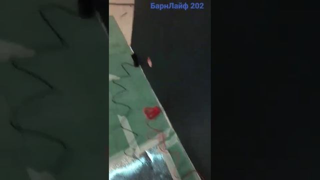 Установка умного теплого пола на кухне, под ламинат.  БарнЛайф 202 смотреть онлайн